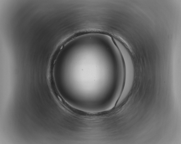 X0000113900677200909241438