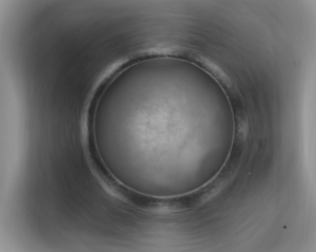 X0000113900678200909241438