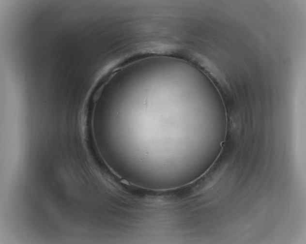 X0000113900679200909241438