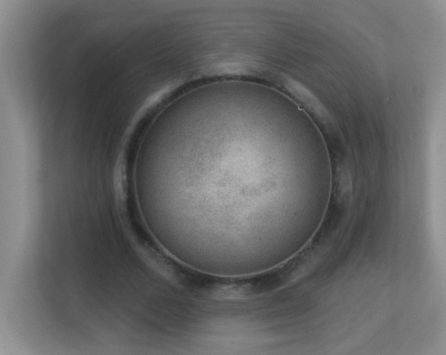 X0000113900680200909241438