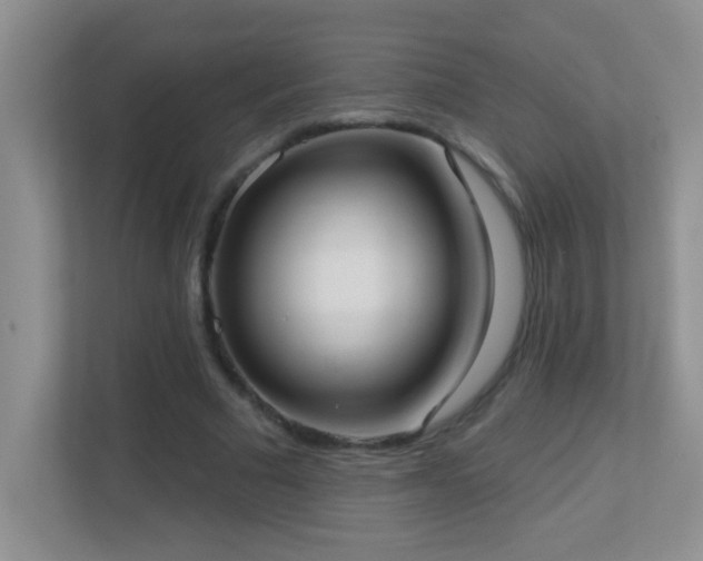 X0000113900681200909241438