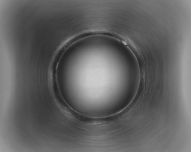 X0000113900684200909241438