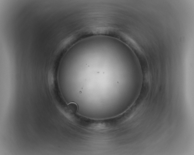 X0000113900687200909241438