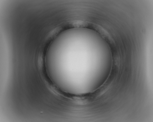 X0000113900690200909241438