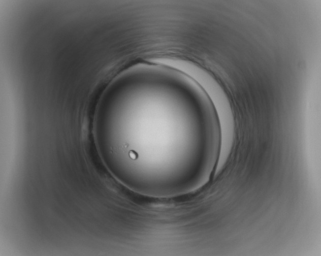 X0000113900693200909241437