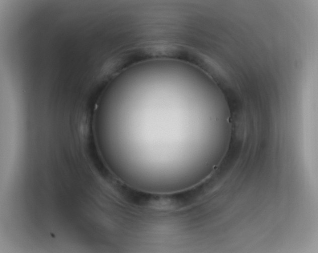 X0000113900695200909241437