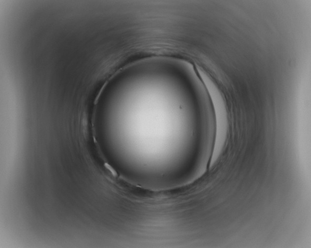 X0000113900696200909241437