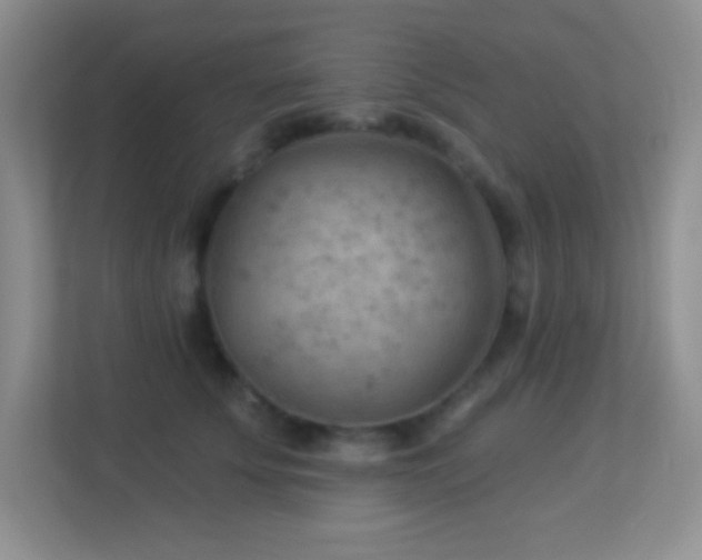 X0000113900707200909241437