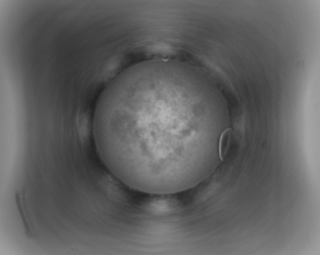 X0000113900708200909241437