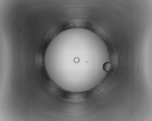 X0000113900709200909241437