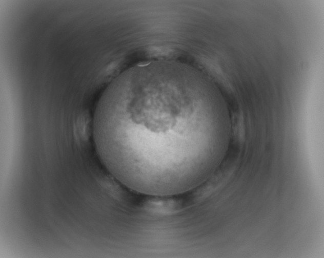 X0000113900712200909241437