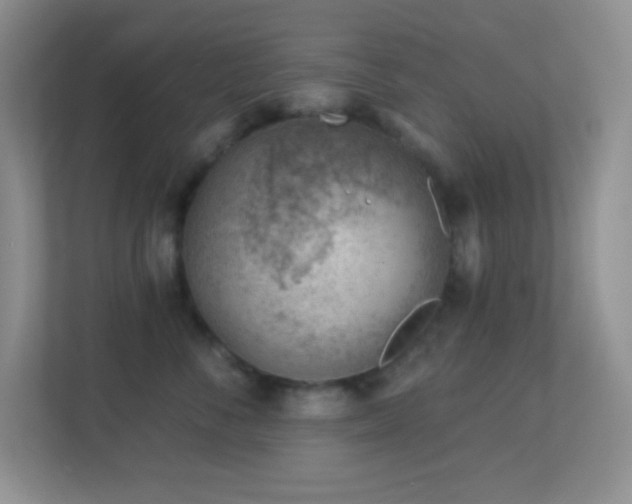 X0000113900716200909241437