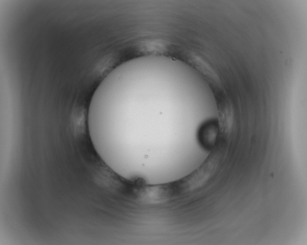 X0000113900717200909241437