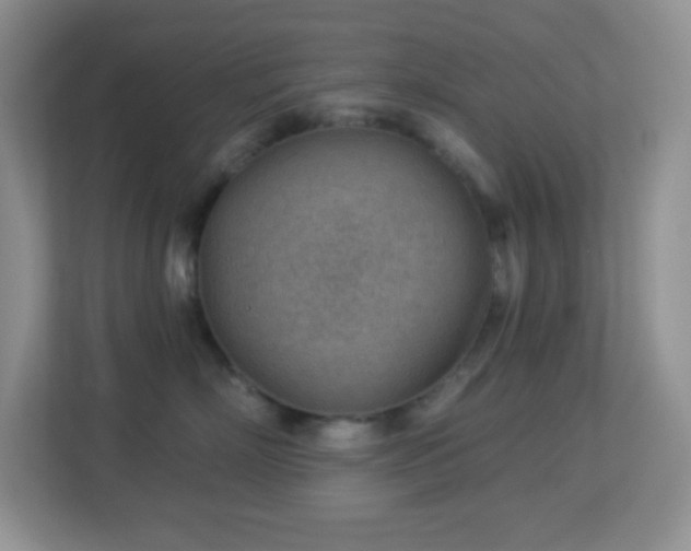 X0000113900718200909241437