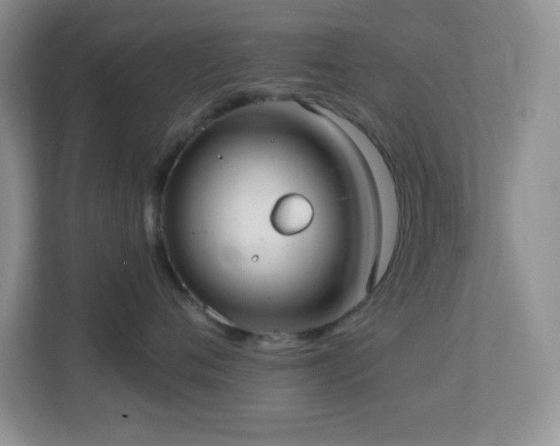 X0000113900720200909241437