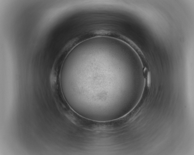 X0000113900723200909241437