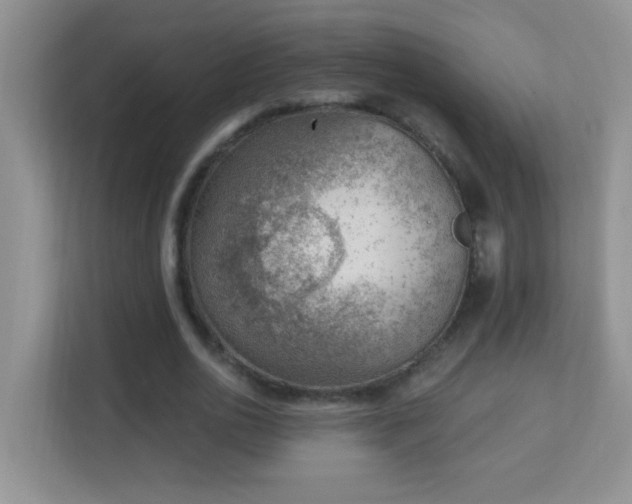 X0000113900726200909241437