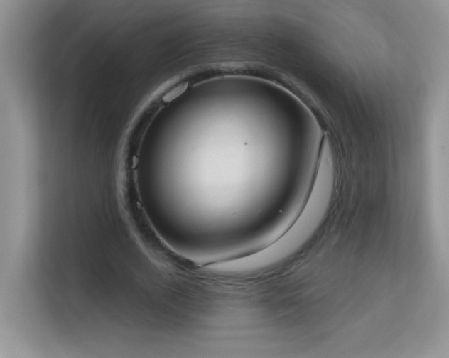 X0000113900728200909241437