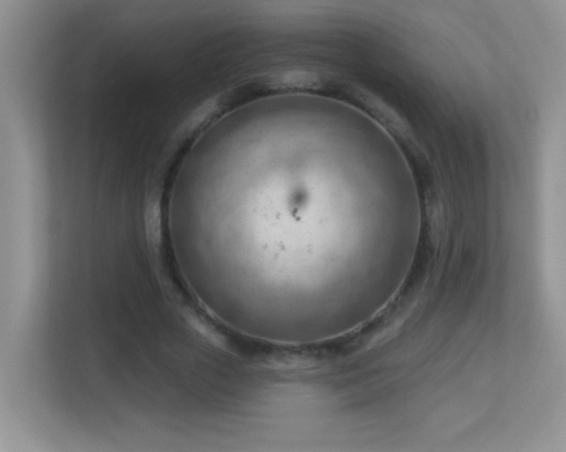 X0000113900729200909241437