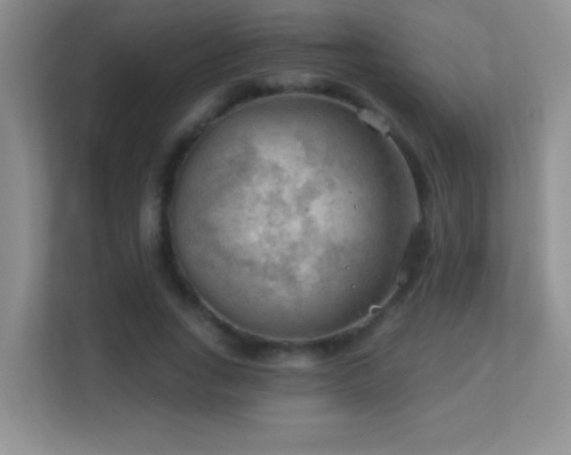 X0000113900735200909241437