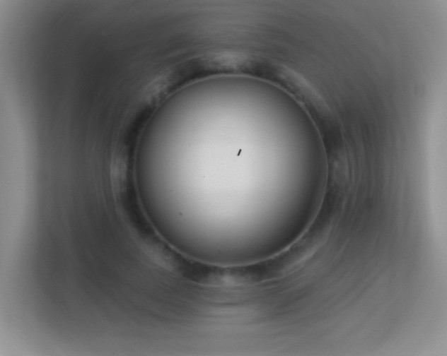 X0000113900739200909241437