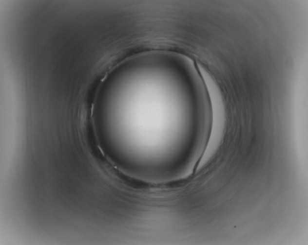 X0000113900744200909241437
