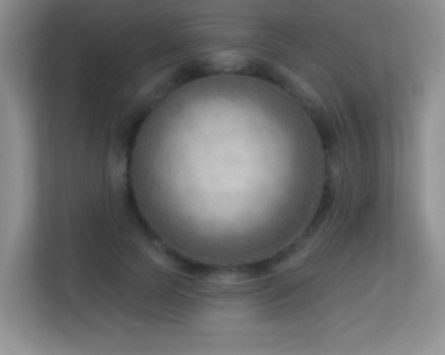 X0000113900745200909241437