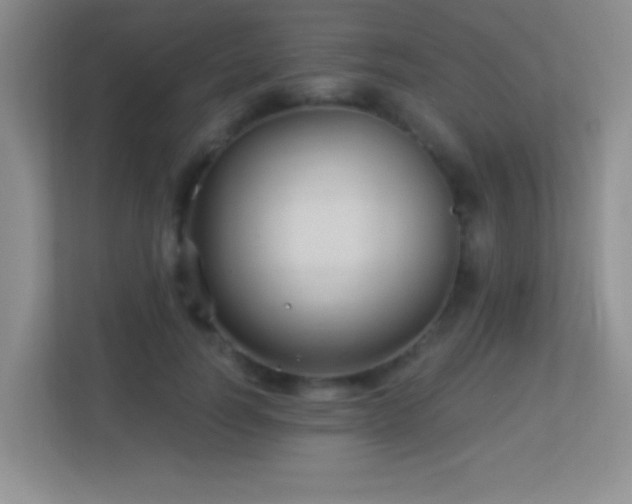 X0000113900746200909241437