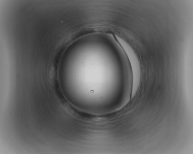 X0000113900748200909241437