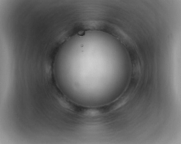 X0000113900749200909241437