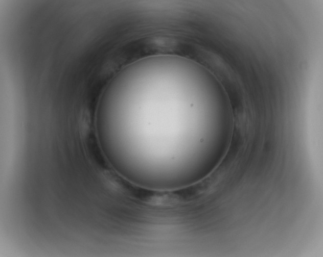 X0000113900752200909241437