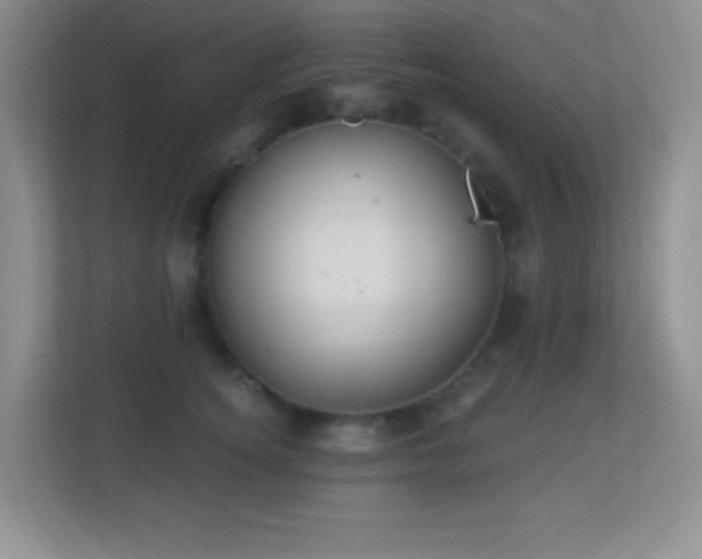 X0000113900756200909241437