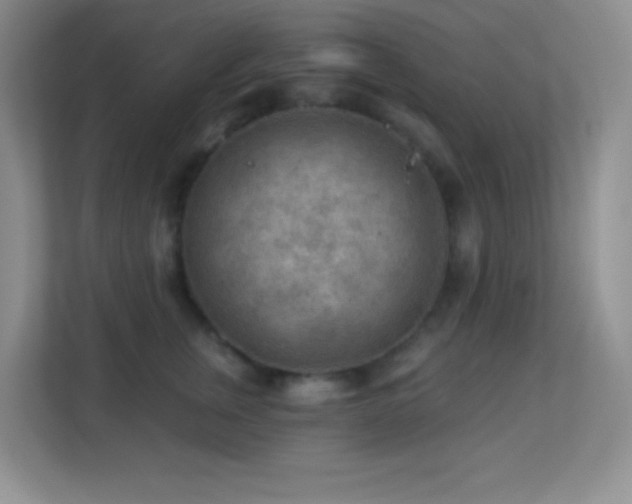 X0000113900759200909241437