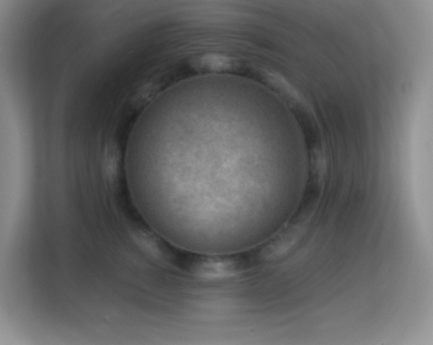 X0000113900760200909241437