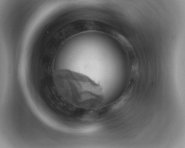 X0000113900765200909241437
