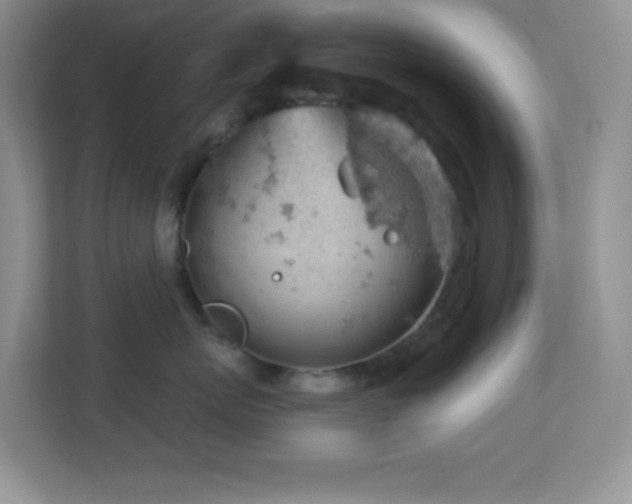 X0000113900767200909241437