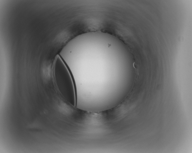 X0000113900768200909241437