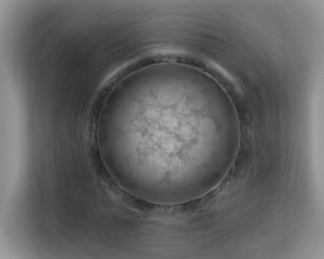 X0000113900775200909241436