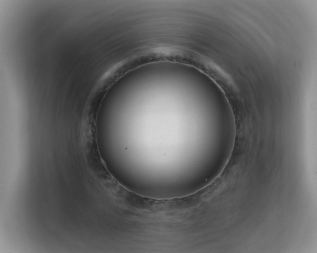 X0000113900776200909241436