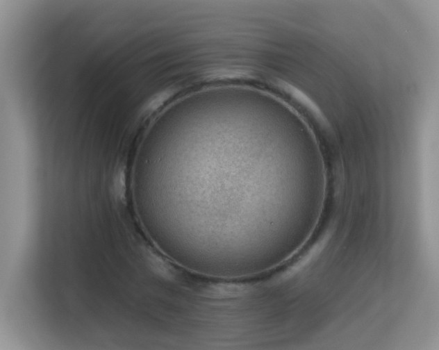 X0000113900777200909241436