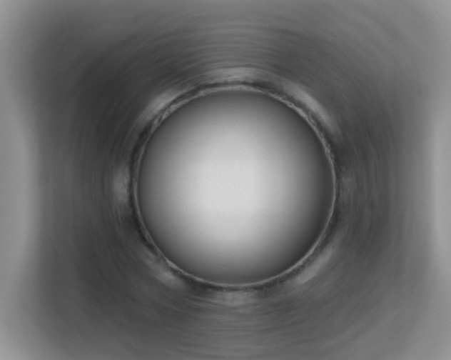 X0000113900778200909241436