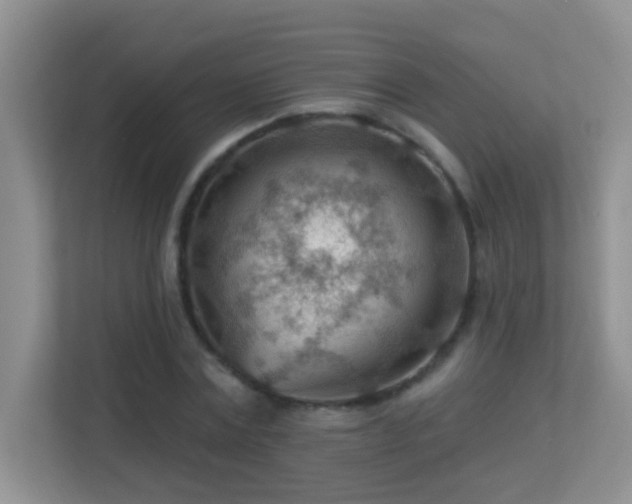 X0000113900779200909241436