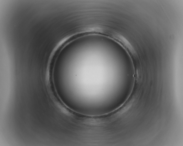 X0000113900780200909241436