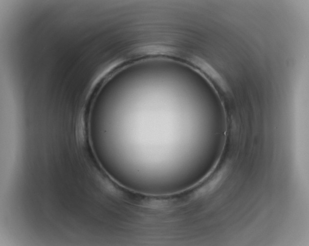 X0000113900782200909241436