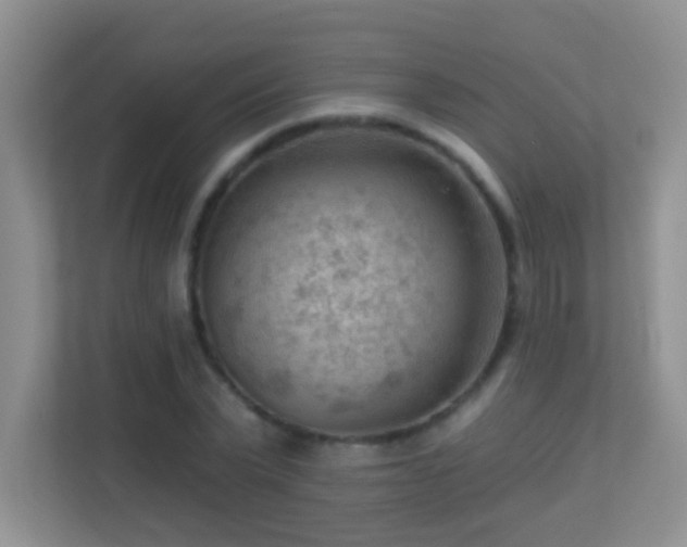 X0000113900783200909241436