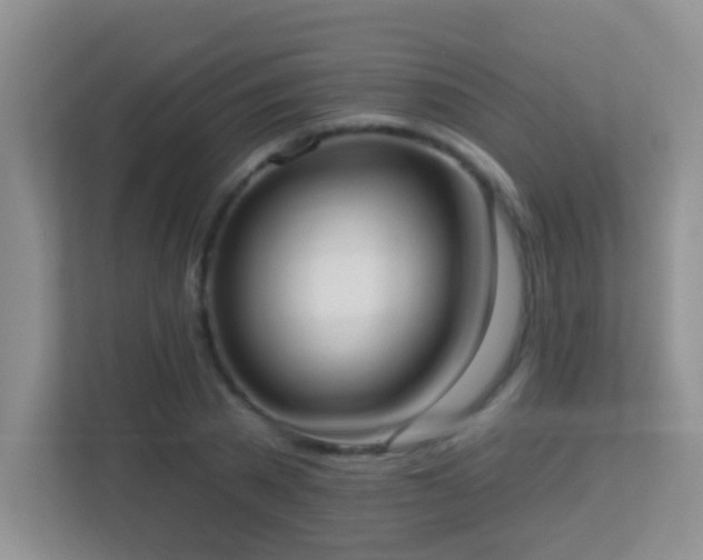 X0000113900785200909241436