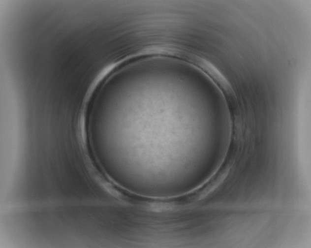 X0000113900788200909241436