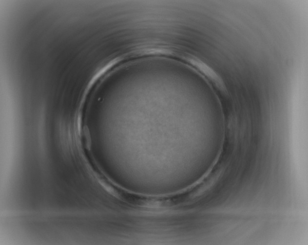 X0000113900790200909241436