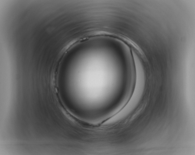 X0000113900793200909241436