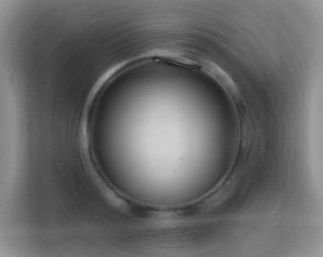 X0000113900796200909241436